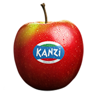 Kanzi