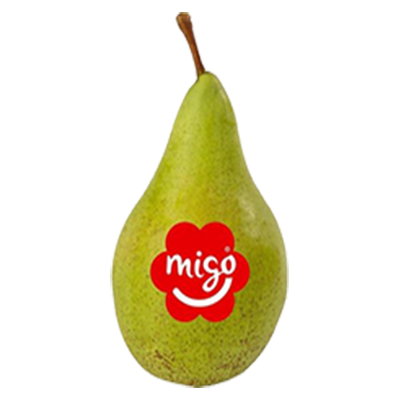 Migo